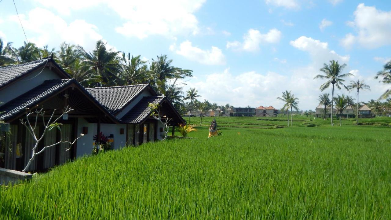 Amaya Cottage Ubud By Shm Экстерьер фото