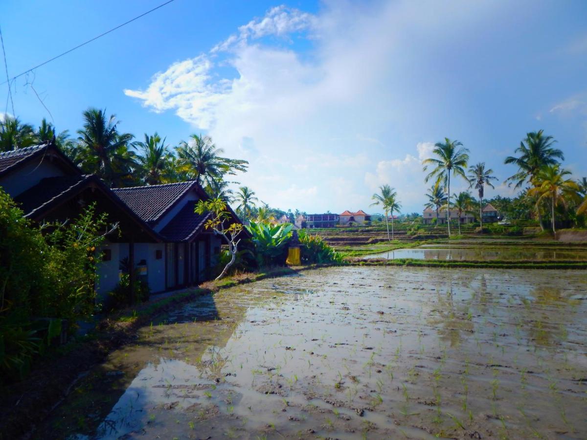 Amaya Cottage Ubud By Shm Экстерьер фото